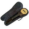 Charango Semi-Hard Case