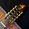 Charango Profesional - QUENTE