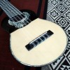 Professional Charango - "CONDOR"